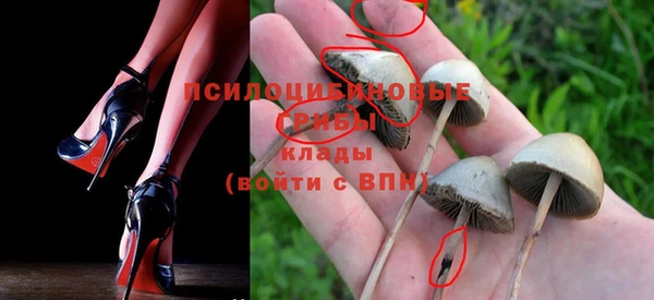 ALPHA PVP Покров