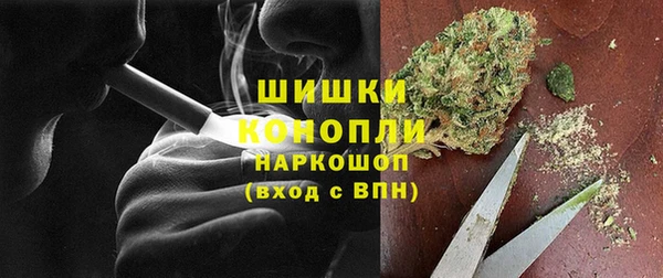 крисы Покачи