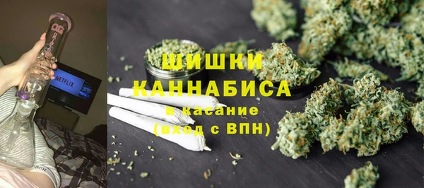 крисы Покачи
