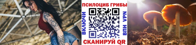 сайты даркнета наркотические препараты  Бакал  Псилоцибиновые грибы Cubensis 